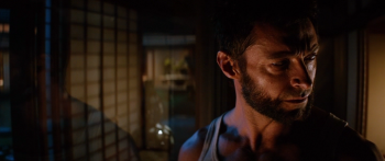:  / The Wolverine (2013) BDRip