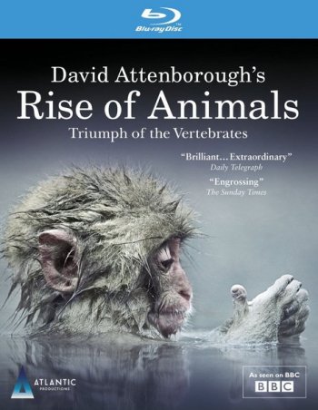       / Rise of Animals: Triumph of the Vertebrates (2013)