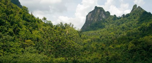 Круиз по джунглям: Тайна Вальверде (2022)